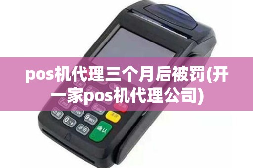 pos机代理三个月后被罚(开一家pos机代理公司)