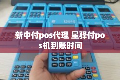 新中付pos代理 星驿付pos机到账时间