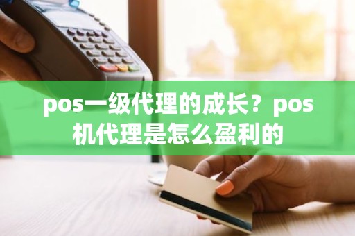 pos一级代理的成长？pos机代理是怎么盈利的