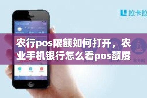 农行pos限额如何打开，农业手机银行怎么看pos额度