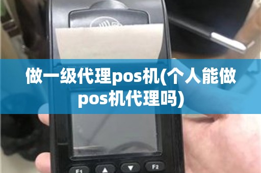 做一级代理pos机(个人能做pos机代理吗)