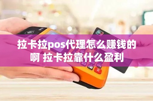 拉卡拉pos代理怎么赚钱的啊 拉卡拉靠什么盈利