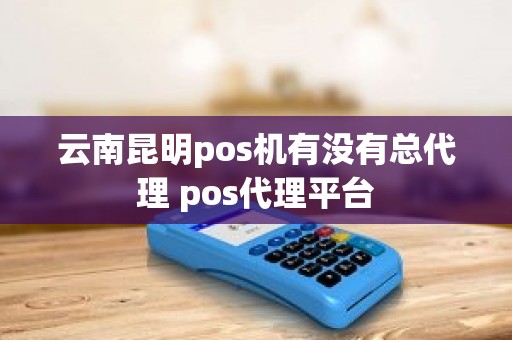云南昆明pos机有没有总代理 pos代理平台