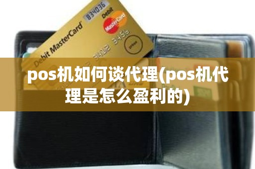 pos机如何谈代理(pos机代理是怎么盈利的)