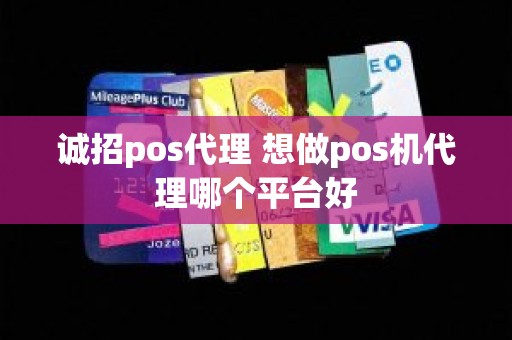 诚招pos代理 想做pos机代理哪个平台好