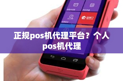 正规pos机代理平台?个人pos机代理 正规pos机代理平台?个人pos机代理