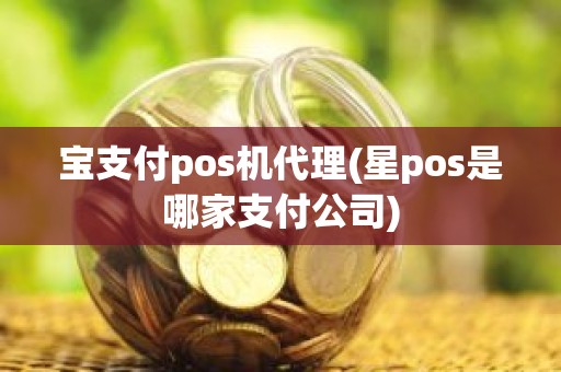 宝支付pos机代理(星pos是哪家支付公司)