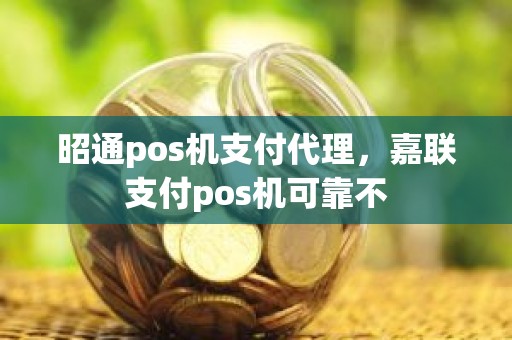 昭通pos机支付代理，嘉联支付pos机可靠不