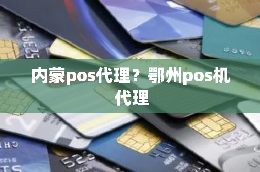 内蒙pos代理？鄂州pos机 代理