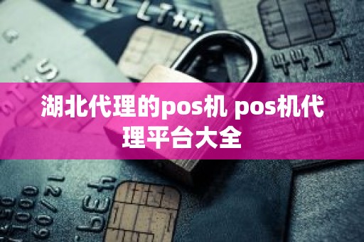 湖北代理的pos机 pos机代理平台大全