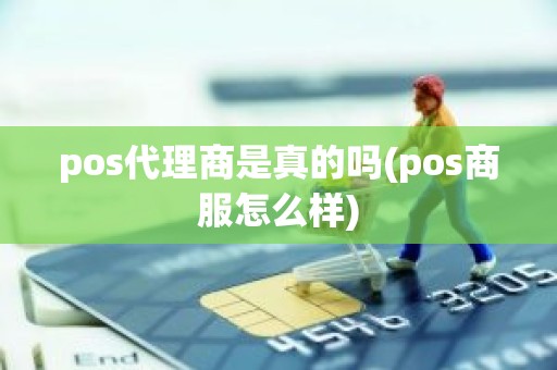 pos代理商是真的吗(pos商服怎么样)