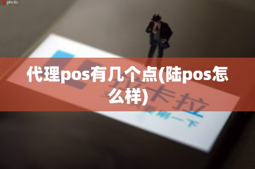 代理pos有几个点(陆pos怎么样)