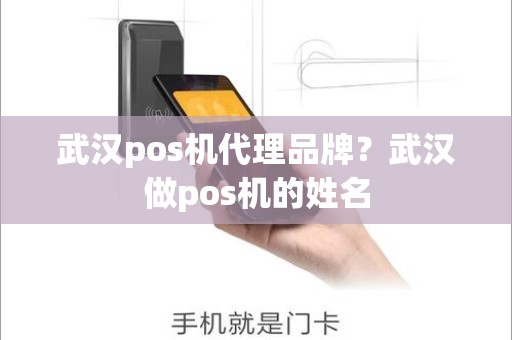 武汉pos机代理品牌？武汉做pos机的姓名