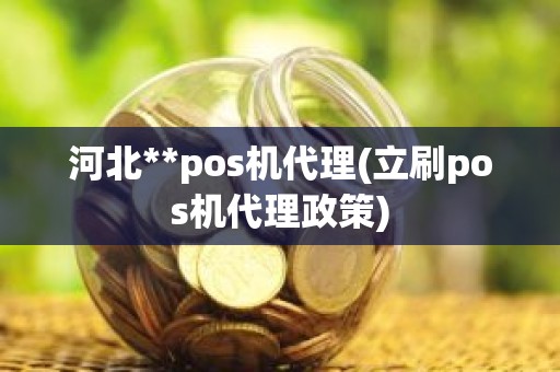 河北**pos机代理(立刷pos机代理政策)