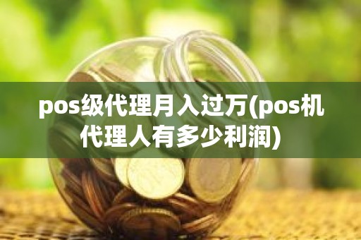 pos级代理月入过万(pos机代理人有多少利润)