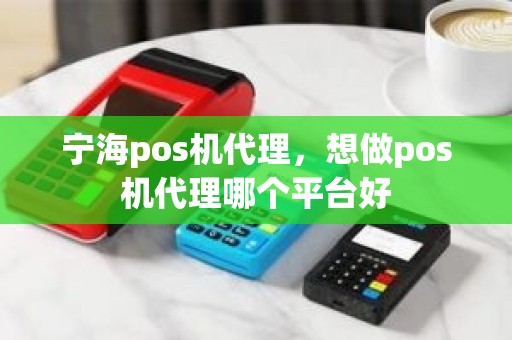 宁海pos机代理，想做pos机代理哪个平台好