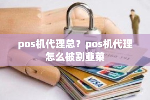 pos机代理总？pos机代理怎么被割韭菜