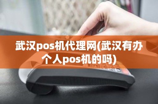 武汉pos机代理网(武汉有办个人pos机的吗)