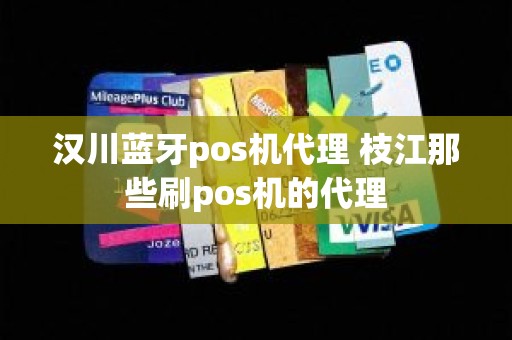 汉川蓝牙pos机代理 枝江那些刷pos机的代理