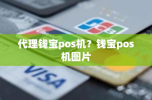 代理钱宝pos机？钱宝pos机图片