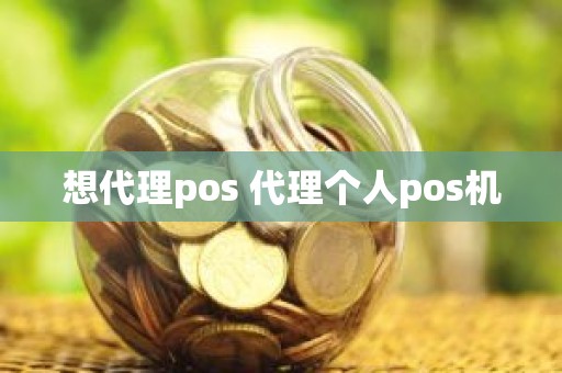 想代理pos 代理个人pos机