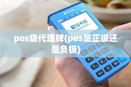 pos级代理牌(pos是正级还是负极)