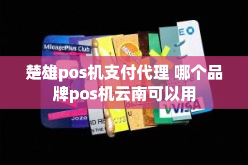 楚雄pos机支付代理 哪个品牌pos机云南可以用