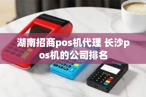 湖南招商pos机代理 长沙pos机的公司排名