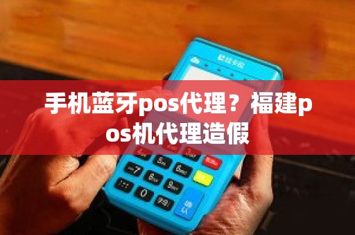 手机蓝牙pos代理？福建pos机代理造假