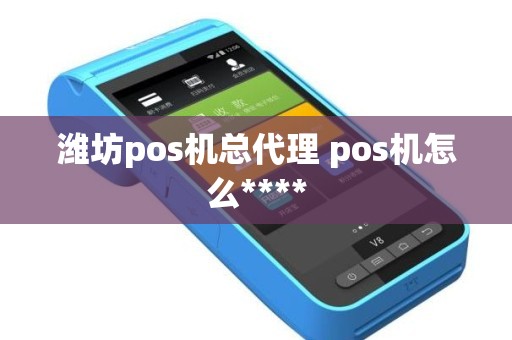 潍坊pos机总代理 pos机怎么****