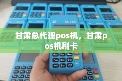 甘肃总代理pos机，甘肃pos机刷卡