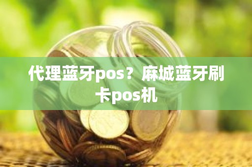 代理蓝牙pos？麻城蓝牙刷卡pos机