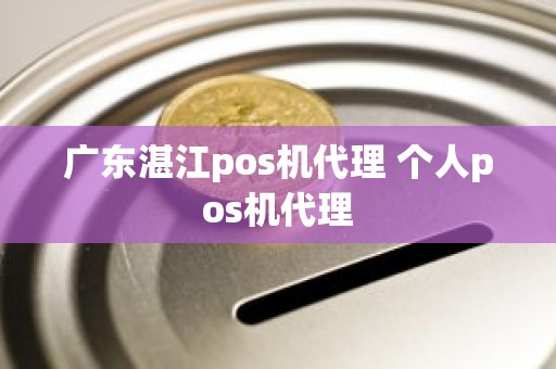 广东湛江pos机代理 个人pos机代理