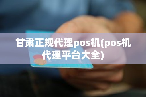 甘肃正规代理pos机(pos机代理平台大全)
