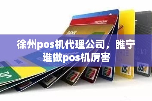 徐州pos机代理公司，睢宁谁做pos机厉害