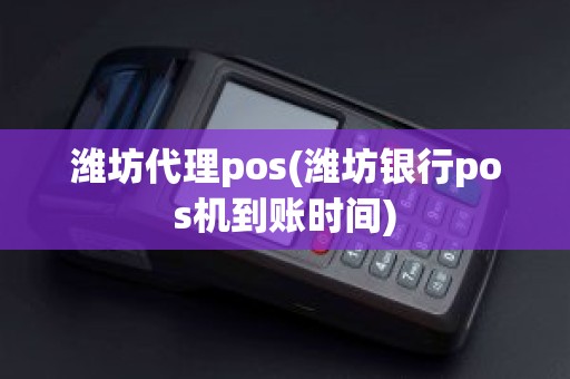 潍坊代理pos(潍坊银行pos机到账时间)