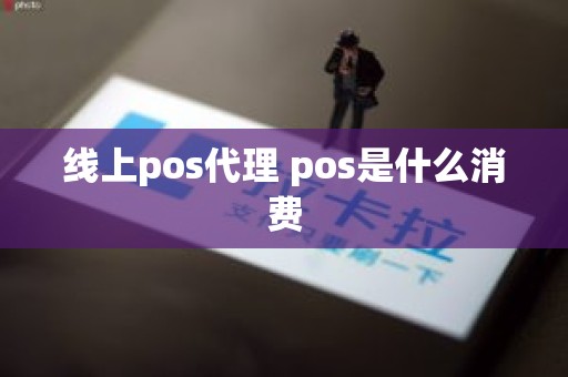 线上pos代理 pos是什么消费