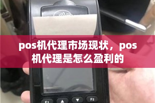 pos机代理市场现状，pos机代理是怎么盈利的