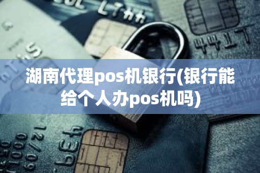 湖南代理pos机银行(银行能给个人办pos机吗)