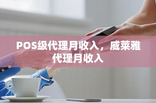 POS级代理月收入，威莱雅代理月收入