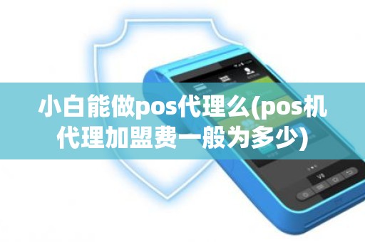 小白能做pos代理么(pos机代理加盟费一般为多少)