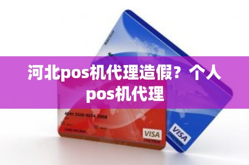 河北pos机代理造假？个人pos机代理