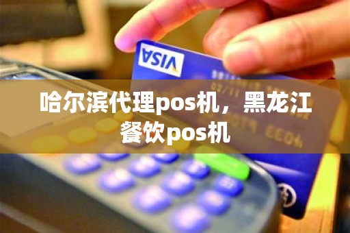 哈尔滨代理pos机，黑龙江餐饮pos机