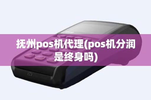 抚州pos机代理(pos机分润是终身吗)