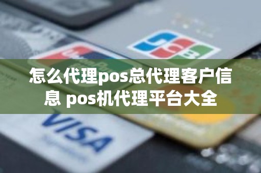 怎么代理pos总代理客户信息 pos机代理平台大全