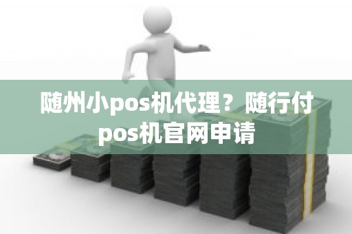 随州小pos机代理？随行付pos机官网申请