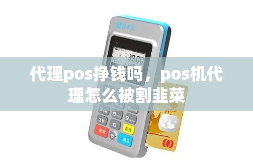 代理pos挣钱吗，pos机代理怎么被割韭菜