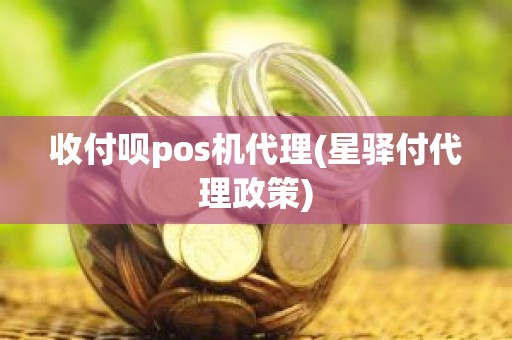 收付呗pos机代理(星驿付代理政策)