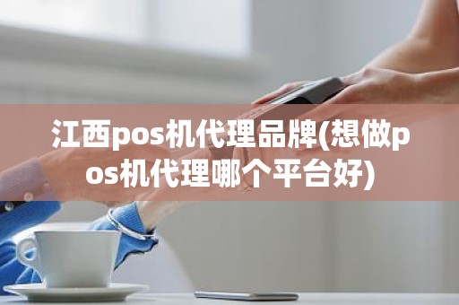 江西pos机代理品牌(想做pos机代理哪个平台好)