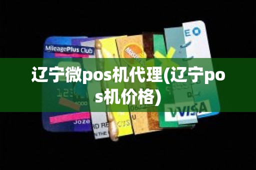 辽宁微pos机代理(辽宁pos机价格)